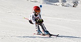 _DSC0517