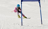 _DSC0552