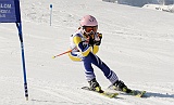 _DSC0566