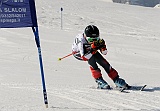 _DSC0584