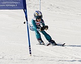 _DSC0586
