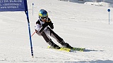_DSC0599