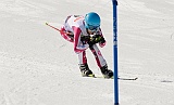 _DSC0711