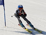 _DSC0741