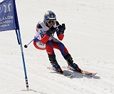 _DSC0811