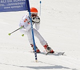 _DSC0831
